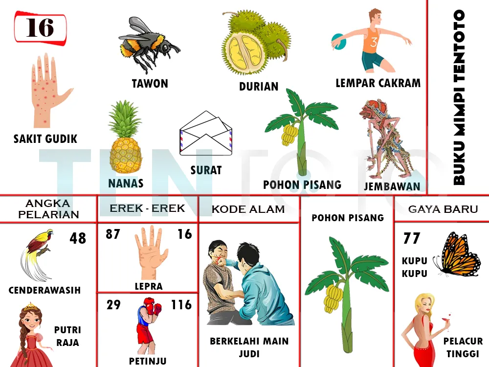 buku mimpi erek erek togel 16