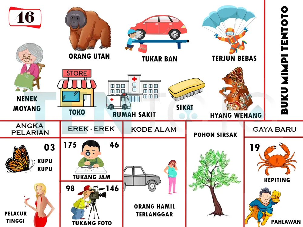 buku mimpi erek erek togel 46