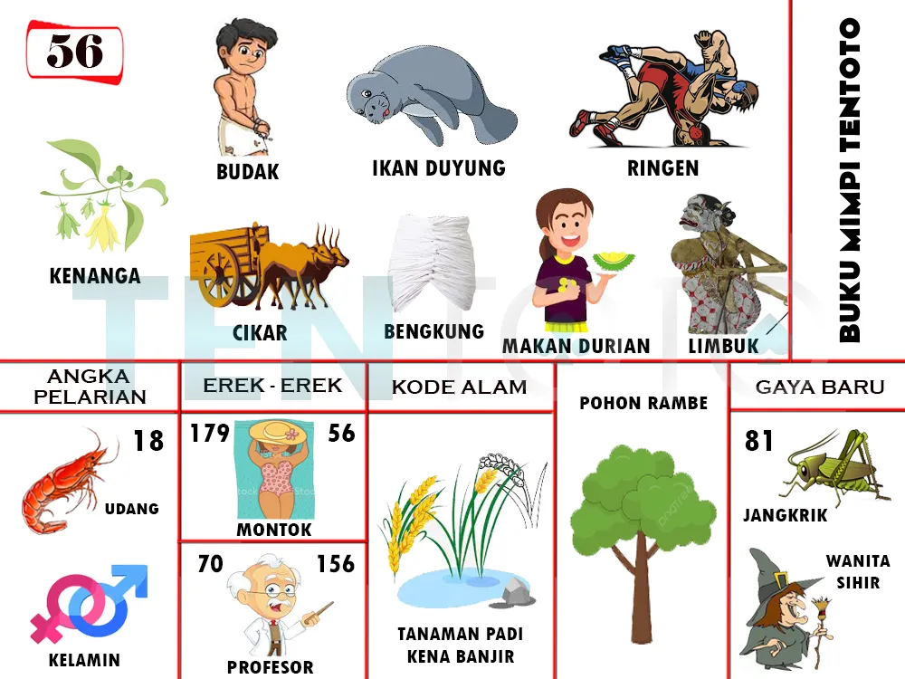 buku mimpi erek erek togel 56